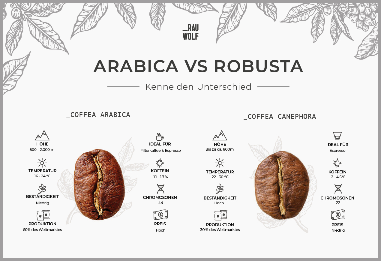 arabica vs robusta