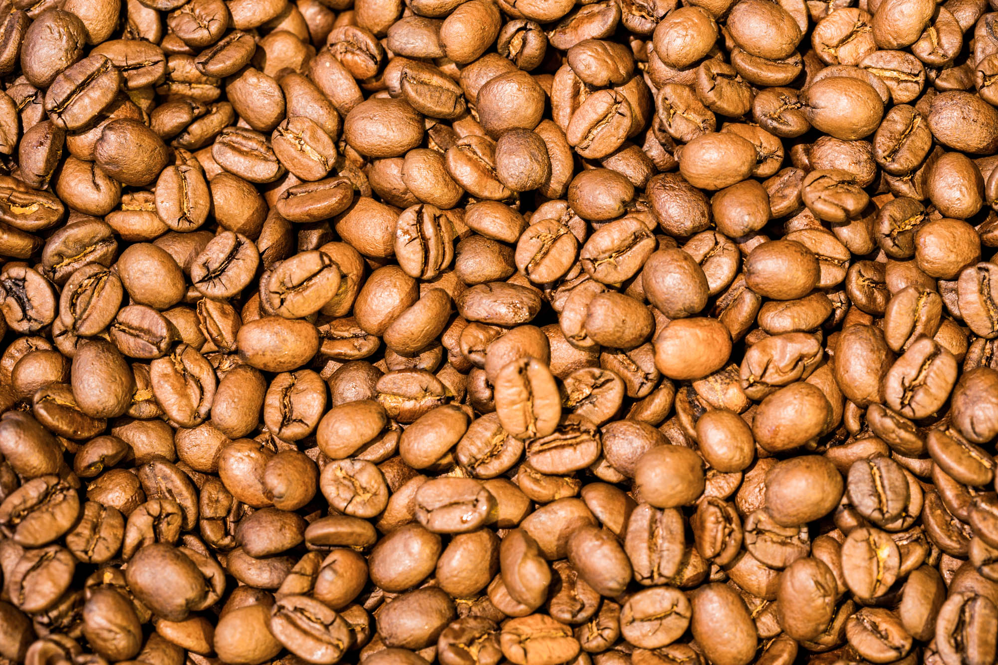 Kaffeesorten im Überblick